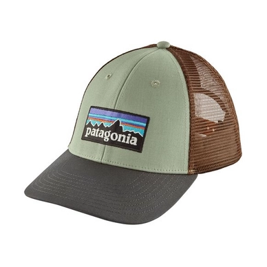 Pet Patagonia P-6 Logo LoPro Trucker Hat Celadon