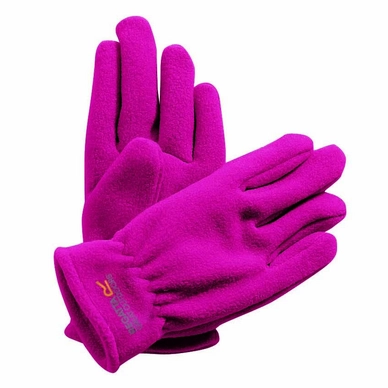 Handschuhe Regatta Taz Gloves II Jem Kinder