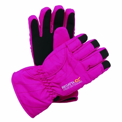 Handschoenen Regatta Kids Arlie Waterproof Glove Jem