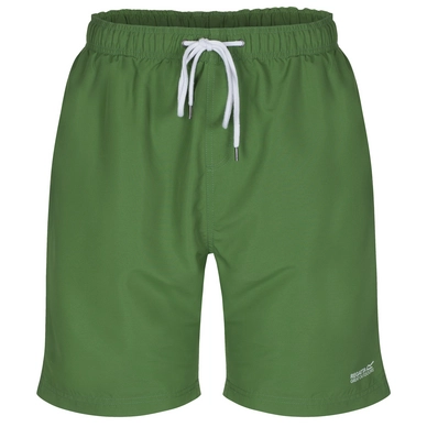 Zwembroek Regatta Mawson Swim Short Alpine Green