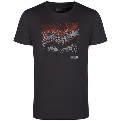 T-Shirt Regatta Fingal Seal Grau Herren