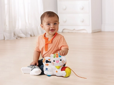 Vtech Rol En Dol Kat