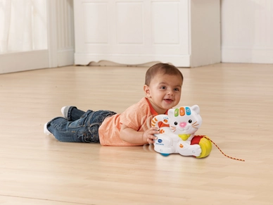 Vtech Rol En Dol Kat