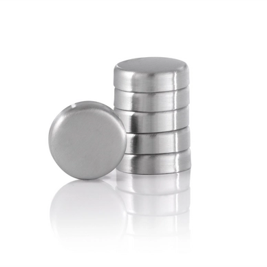 Magneten Blomus Muro RVS Zilver 2,5 cm (set van 6)