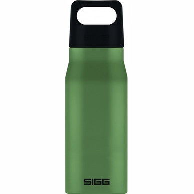 Water Bottle Sigg Explorer 0.75L Leaf Green