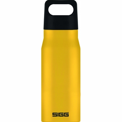 Water Bottle Sigg Explorer 0.75L Mustard
