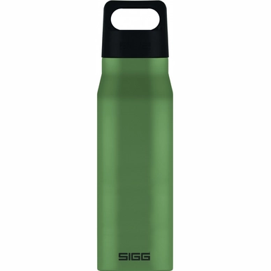 Water Bottle Sigg Explorer 1L Leaf Green
