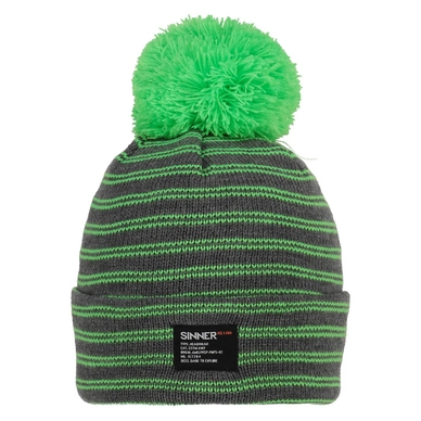 Beanie Sinner Reason Dark Grey Green