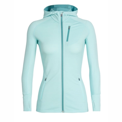 Icebreaker quantum ls zip hood on sale