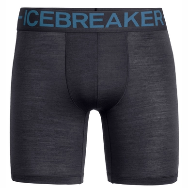 Unterwäsche Icebreaker Anatomica Zone Long Boxers Panther Thunder Herren