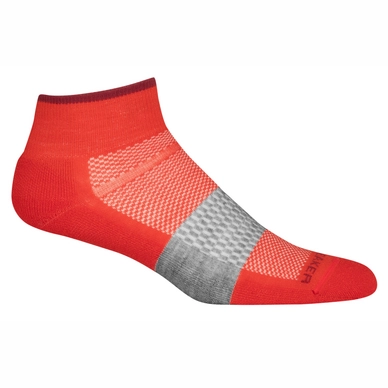 Socken Icebreaker Multisport Light Mini Lave Grape Herren