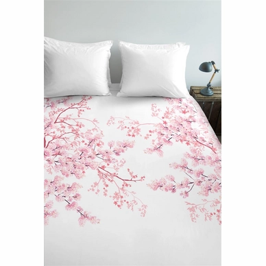 Springlight_Pink_NL_UV_200x200-220_60