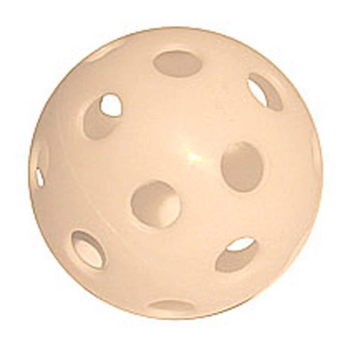 Floorball Bal Tyger