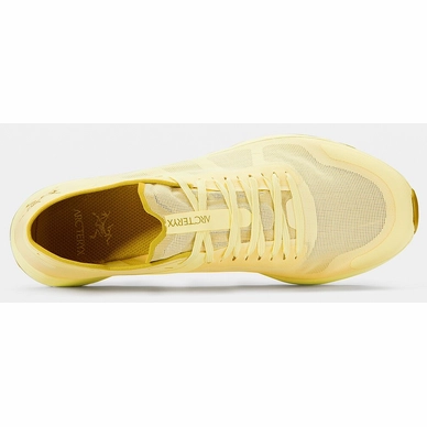 Trailrunning Schoen Arc'teryx Women Norvan SL 2 Light Momento Elytron