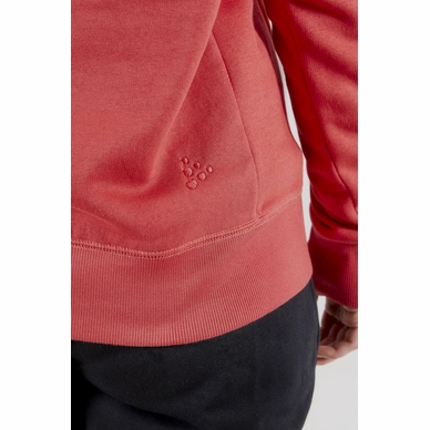 Trui Craft Women Overhead Logo Hoody Beam_5