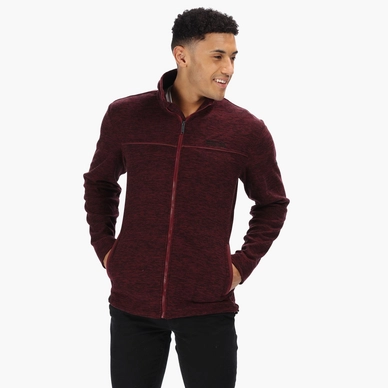 Vest Regatta Men Earvin Burgundy Black