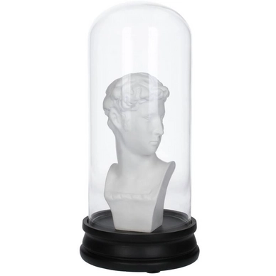 Ornament HD Living Dome David White 14 x 14 cm