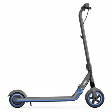 Elektrische Step Ninebot By Segway Zing E10