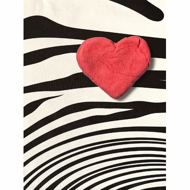 A4_sample_zebra love placement