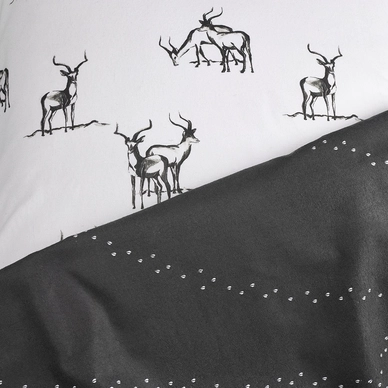 antilope_2p_det_6081