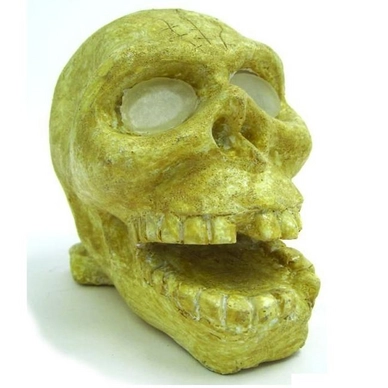 Aqua Brite Skull Arcadia Wit