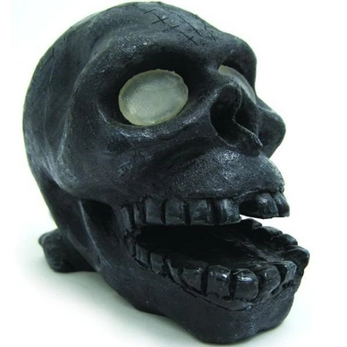 Aqua Brite Skull Arcadia Zwart