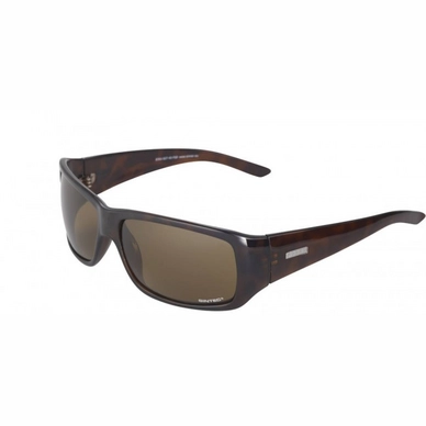 Sonnenbrille Sinner Backbone Tortoise Unisex
