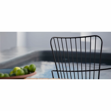 banner_MG_1605_PAON