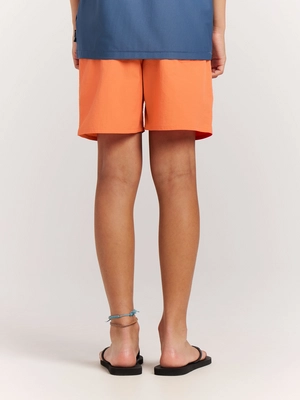 2810000_917_model_back-half_01