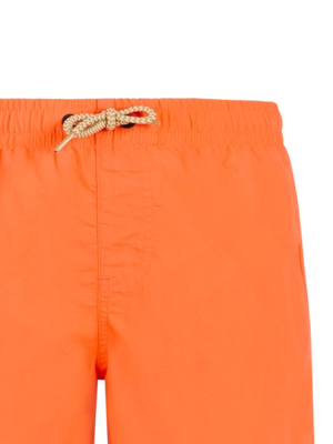 3---2810000_917_detail