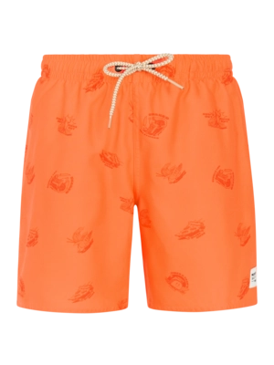 Beachshort Protest Boys PRTHector JR Burnt Peach Regular Fit