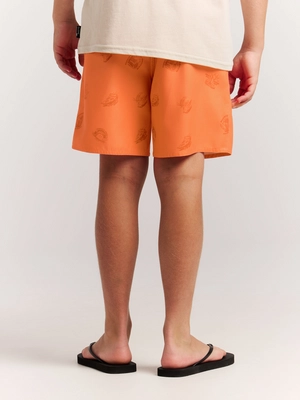 71861009_917_model_back-half_01