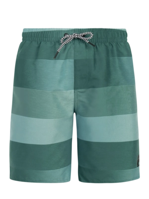 Beachshort Protest Boys PRTJames JR Dark Teal Regular Fit