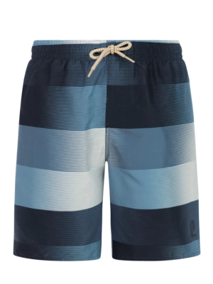 Beachshort Protest Boys PRTJames JR Night Skyblue Regular Fit