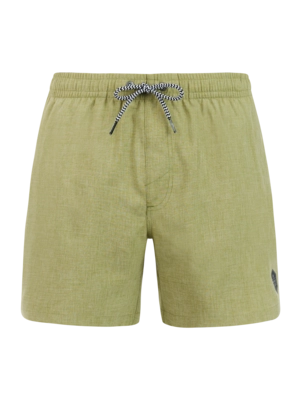 Beachshort Protest Men Davey Fern Green Regular Fit