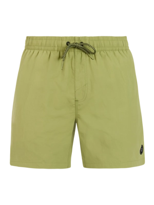Beachshort Protest Men Faster Fern Green Regular Fit