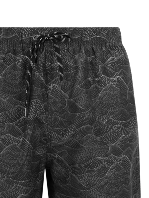 2---71761005_290_detail
