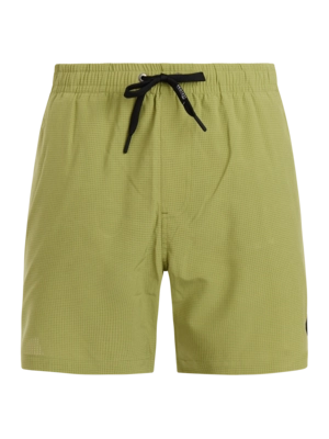 Beachshort Protest Men PRTAdonia Fern Green Regular Fit