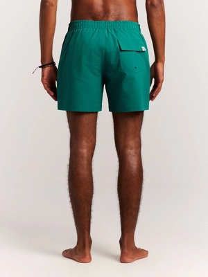 9---71761016_586_model_back-half_01