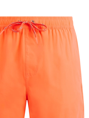2---2719400_917_detail