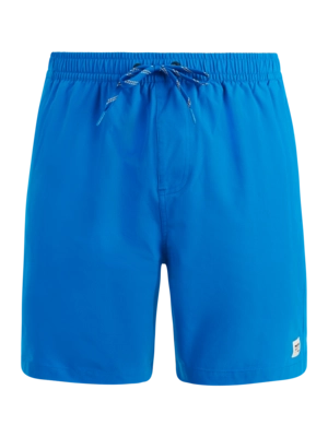 Beachshort Protest Men PRTBaky Cali Blue Regular Fit