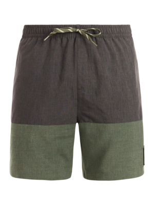 Beachshort Protest Men PRTCabus Thyme Regular fit