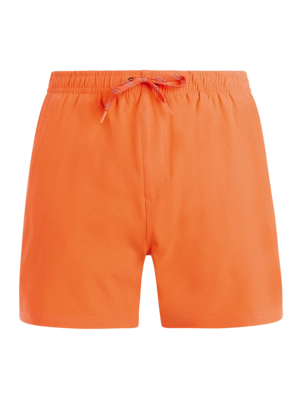 Beachshort Protest Men PRTIgapo Burnt Peach Regular Fit