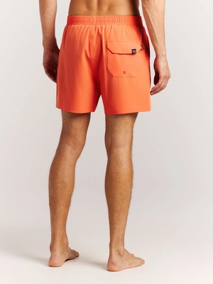 8---71761017_917_model_back-half_01