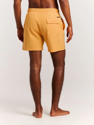8---71761018_320_model_back-half_01