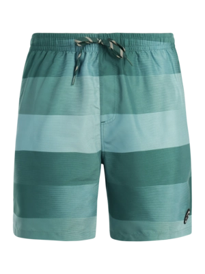 Beachshort Protest Men PRTLomond Dark Teal Regular Fit