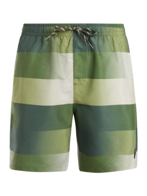 Beachshort Protest Men PRTLomond Thyme Regular Fit