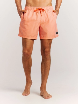 5---71761015_917_model_front-half_01