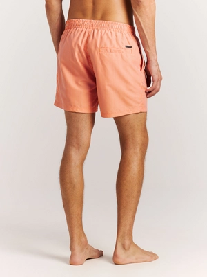 8---71761015_917_model_back-half_01