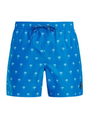 Beachshort Protest Men PRTMascot Cali Blue Regular Fit
